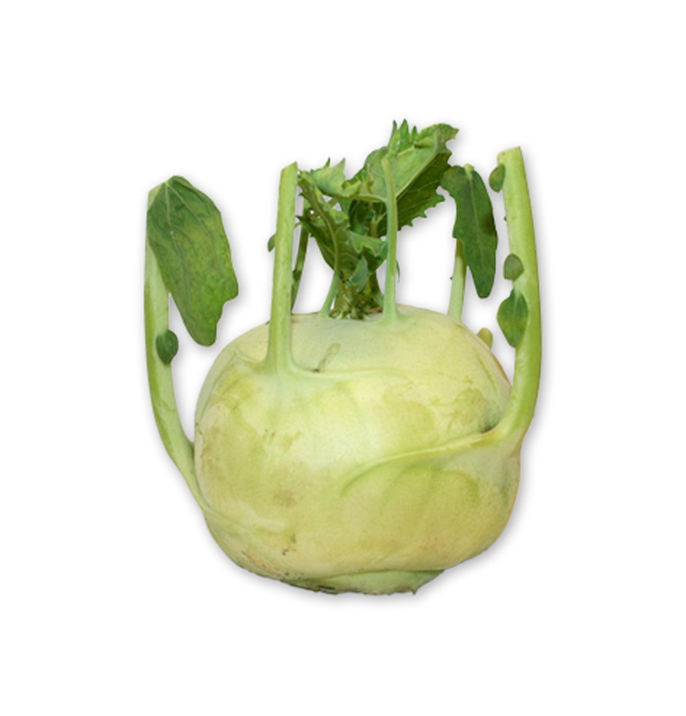 Kålrabbi som är odlad av svenska odlare